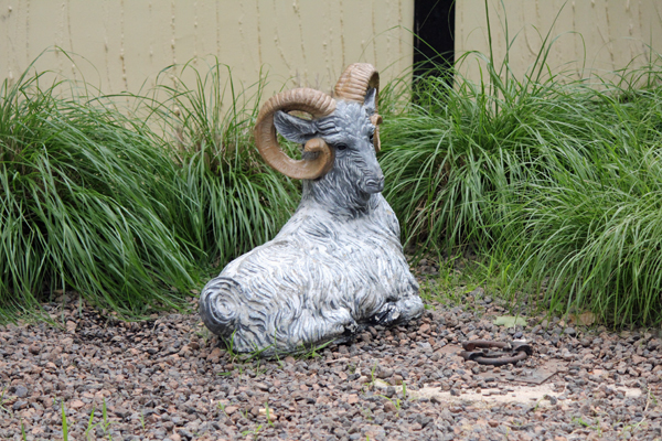 goat statue