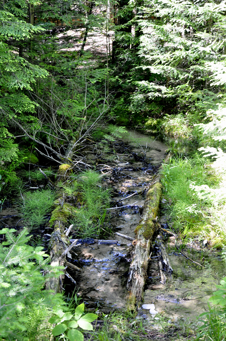 streams in Largo Springs