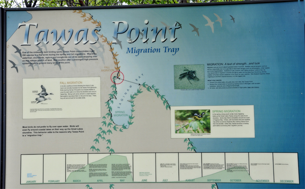 sign about Tawas Point