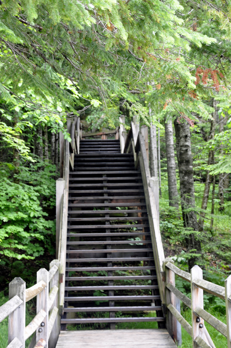 some of the stairs at Tahquamenon Falls