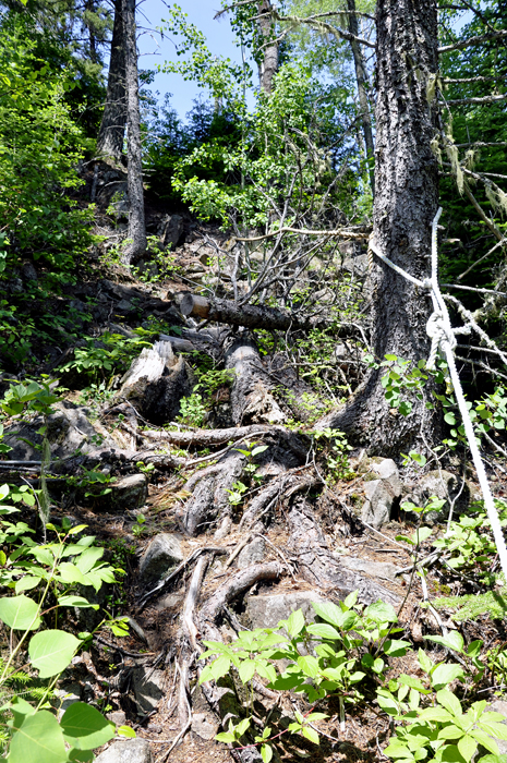 The rope, tree stumps, and nasty trail