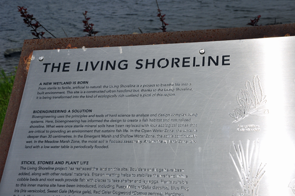 The Living Shoreline sign