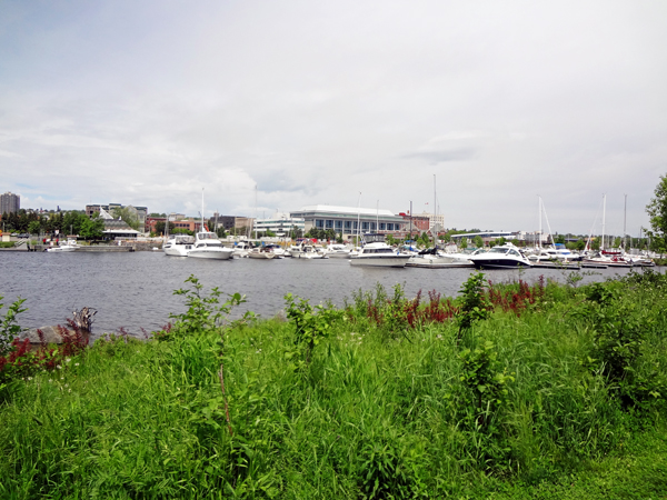 view of the boats from the park