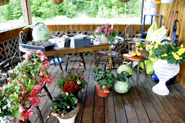 outside patio with flowers