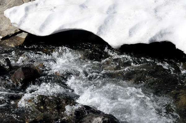 streams of water flowing under hard-caked snow