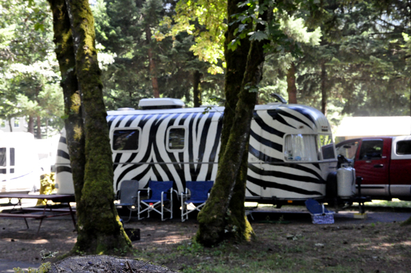 A Zebra RV in the campground