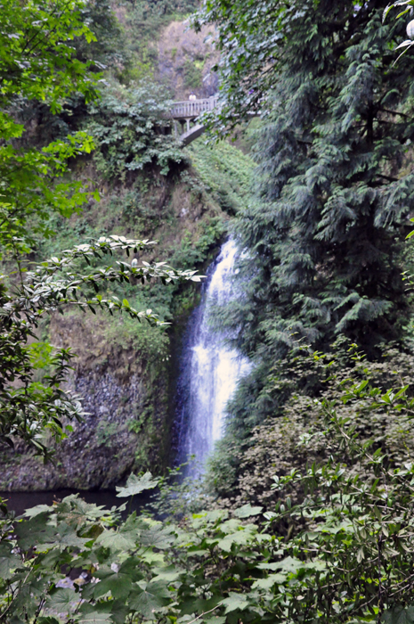 another view of Multnomah Falls