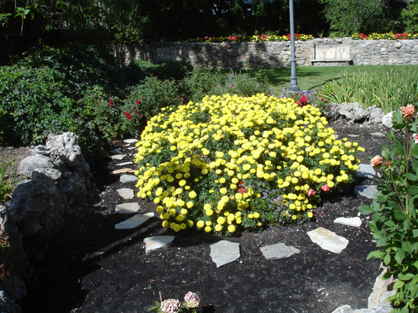a flower bed at Lava Ht Springs