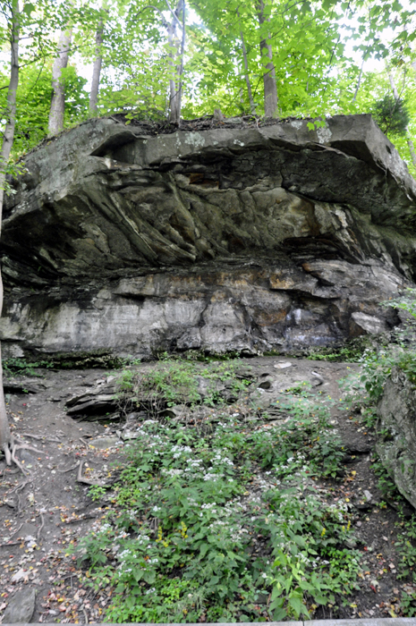 a cliff at Brandywine Falls 