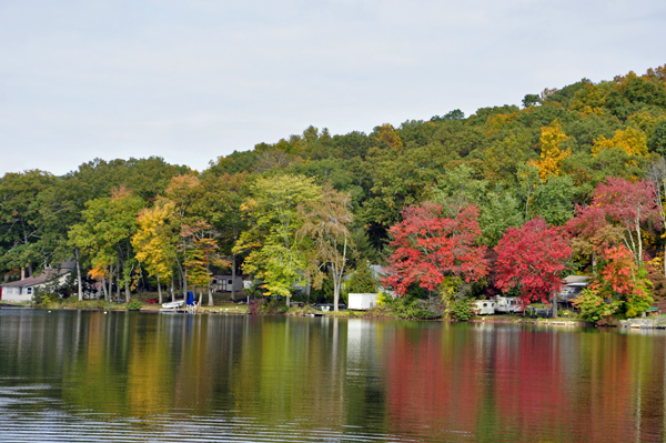 pond murphy fall colors