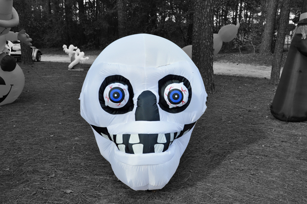 Halloween decorations - skull