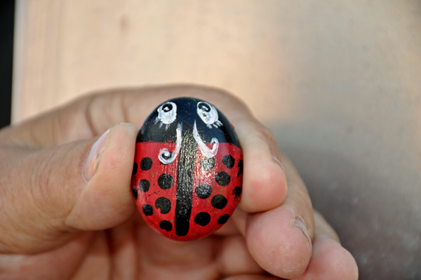 painted rock - lady bug