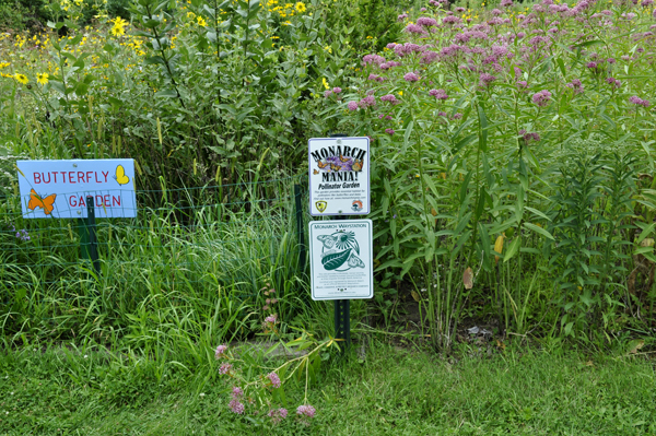 Butterfly Garden sign
