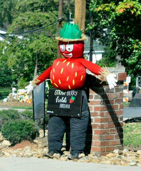 strawberry scarecrow