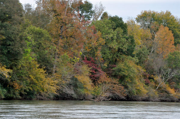 fall foliage by The Pump House