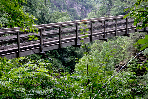 View of the suspension bridge