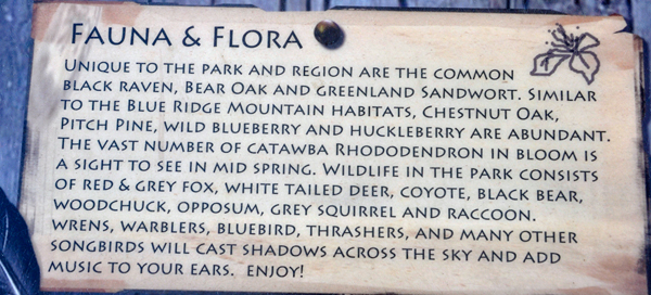 Pilot Mountain fauna and flora sign