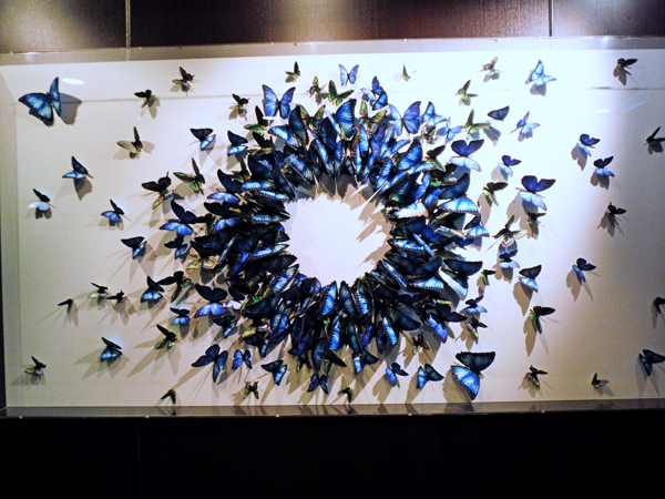 butterfly art 