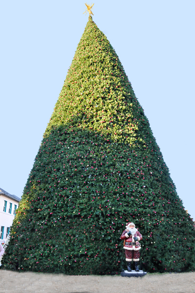 A very large Christmas tree