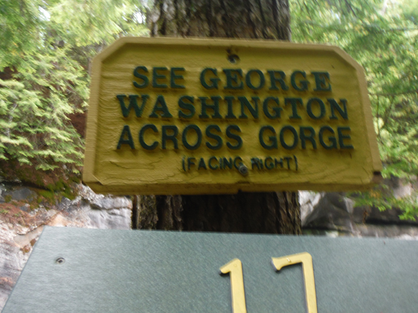 look for George Washington