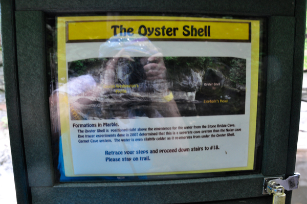 Oyster shell sign