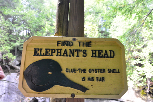 elephant's head sign