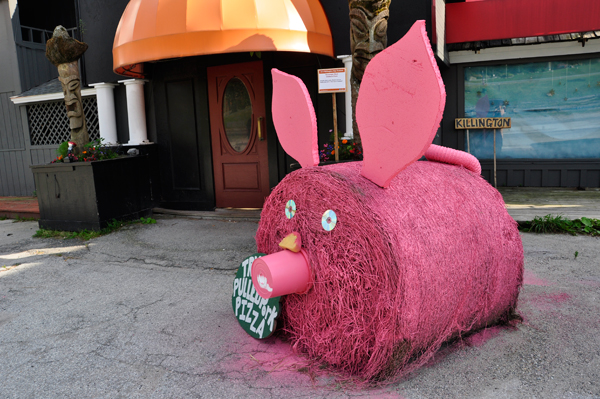 pink pig haystack