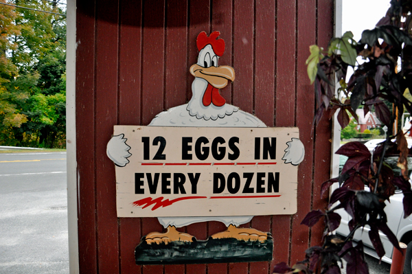 12 eggs in a dozen