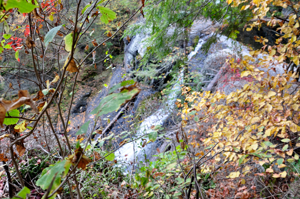fall foliage st Raymondskill Falls 