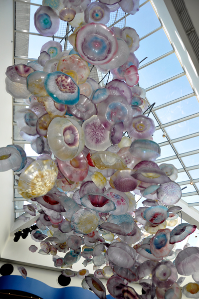 Jellyfish replica's decorate the ceiling