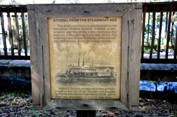 steamboat fossiil sign