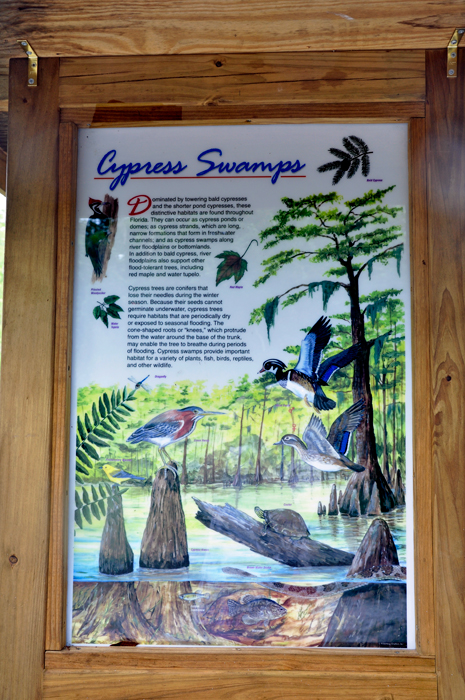 sign: Cypress Swamps