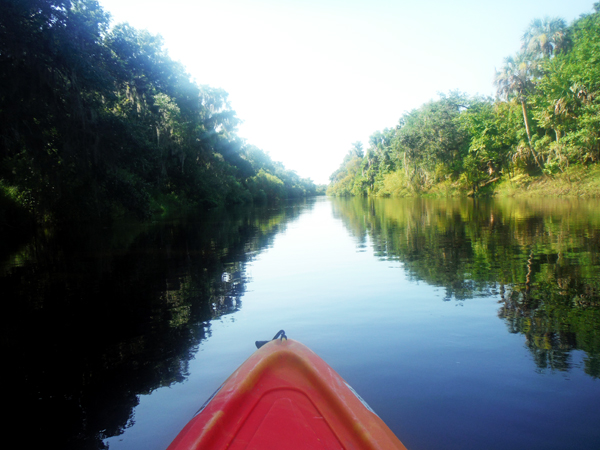 kayaking Peace River