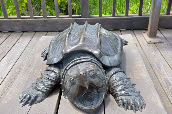 turtle statue
