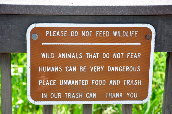 wildlife warning sign