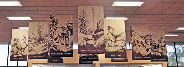 display of the different areas of the park