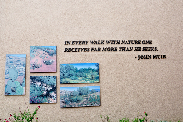 quote of John Muir