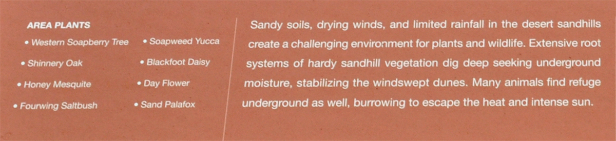 area plants in the Desert Sand Hills
