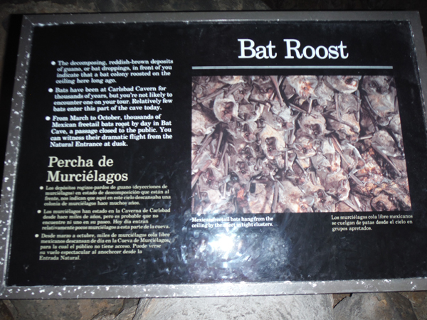 bat roost sign