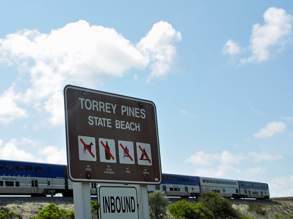 Torrey Pines State Beach sign