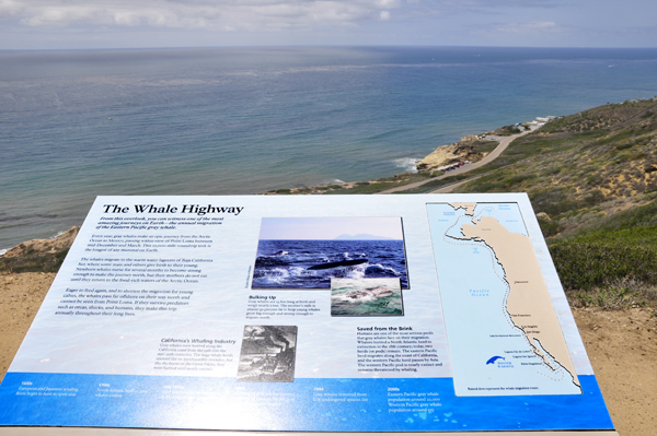 whale highway sign