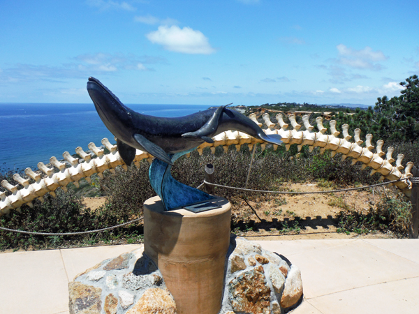 whale monument and bones