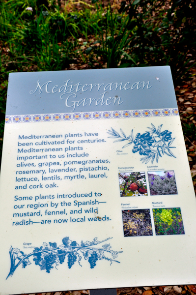 Mediterranian Garden sign