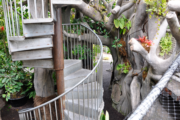 curvy stairs up to the tree hosue