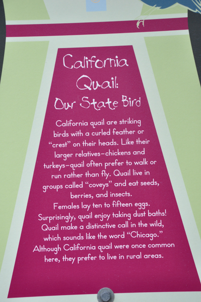 California quail sign