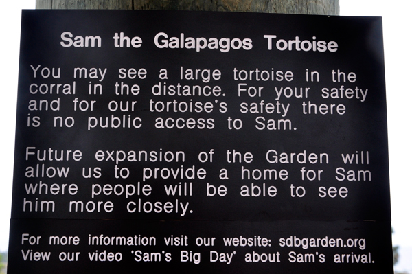 Galapagos Tortoise sign