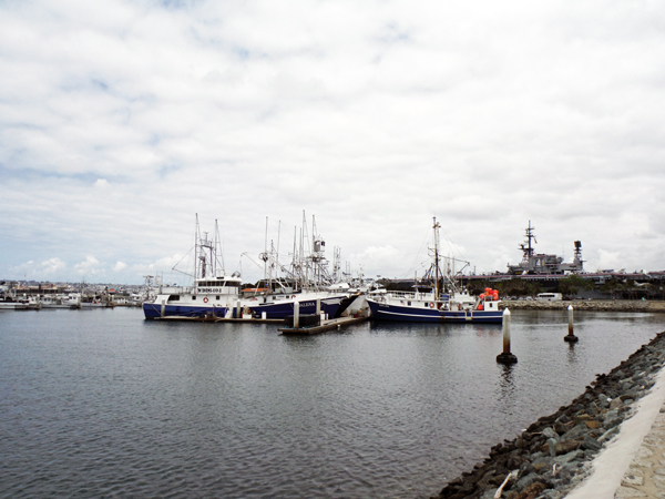 fishing boats in the Harbor