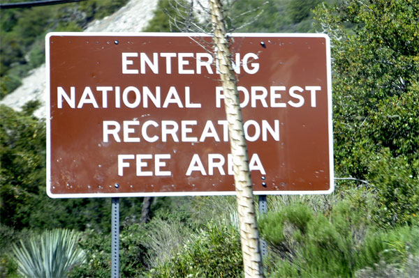 National Forest Recreation area sign