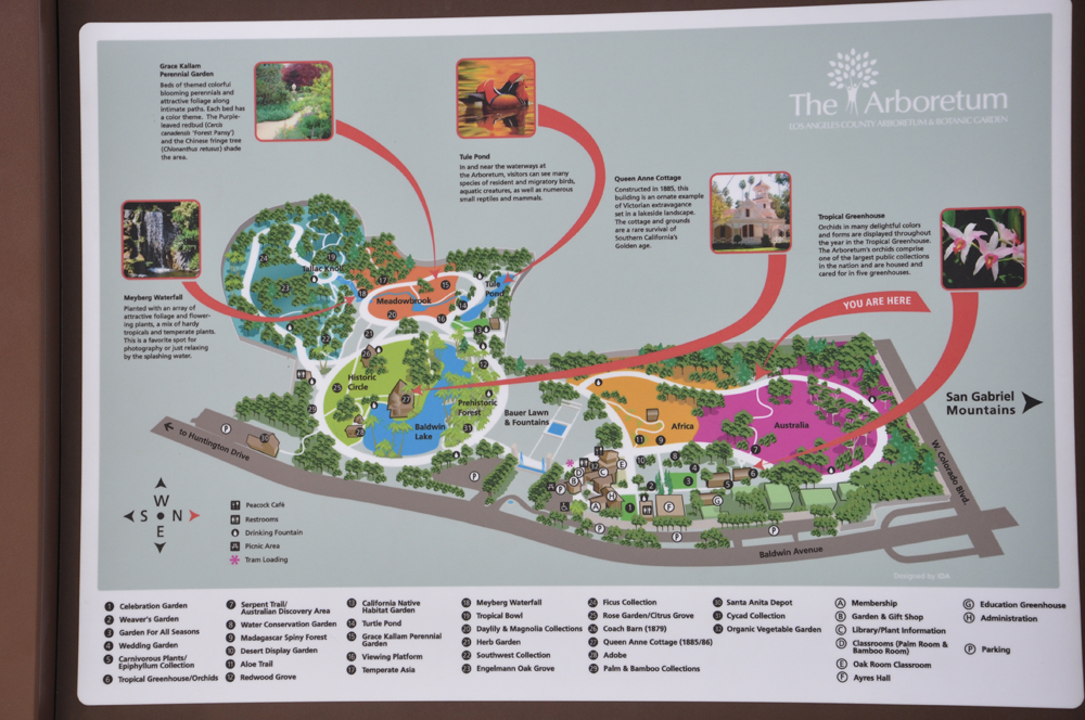 The Arboretum grounds map