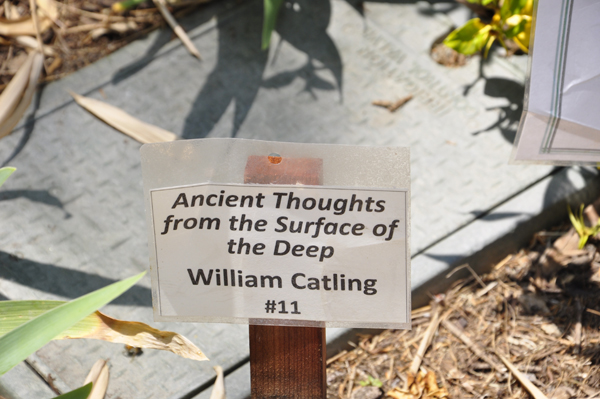 Amcient Thoughts sign